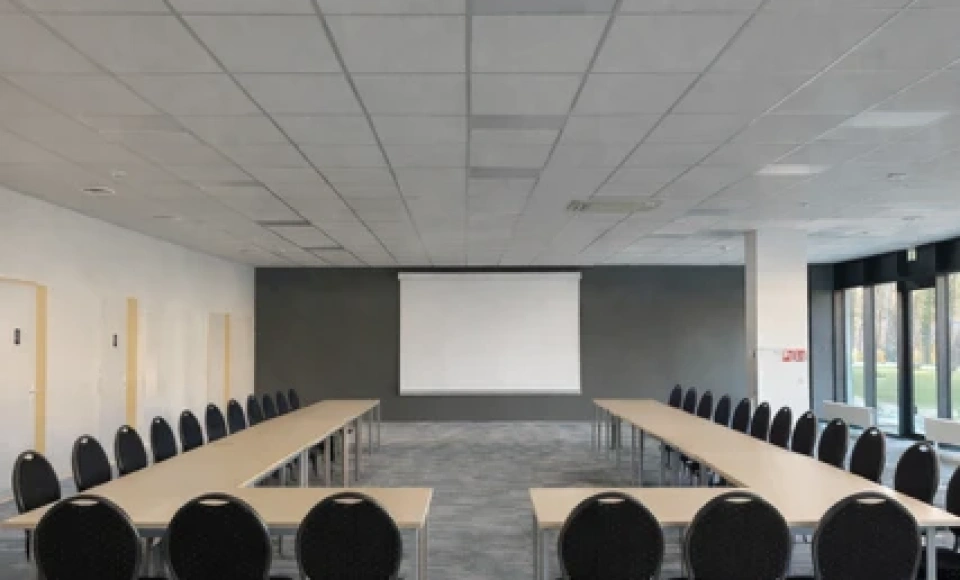 Hotel SPA PINEA Resort / 1