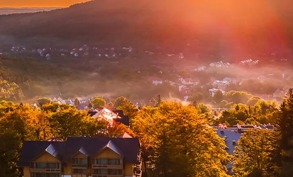 Forest Park Resort & SPA