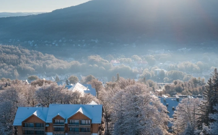 Sale konferencyjne Świeradów-Zdrój - Forest Park Resort & SPA