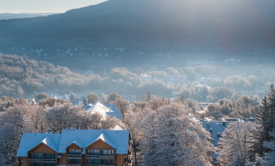 Forest Park Resort & SPA