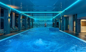 Forest Park Resort & SPA Inne / 0