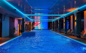 Forest Park Resort & SPA Inne / 2