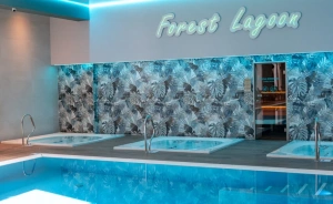 Forest Park Resort & SPA Inne / 3