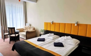 Hotel*** NAT Ustroń Hotel *** / 0