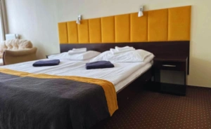 Hotel*** NAT Ustroń Hotel *** / 1