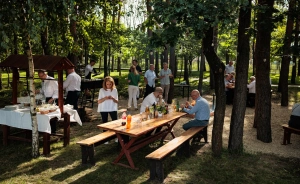 Oranżeria Sala Bankietowa Sala konferencyjna / 1