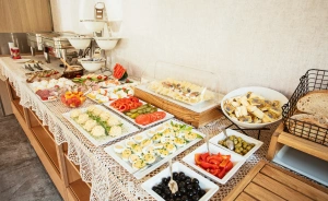 Villa Cannes Resort Zakopane Hotel SPA / 2