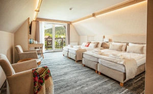 Villa Cannes Resort Zakopane Hotel SPA / 1