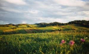 Jezioranka Ostrzyce Ośrodek szkoleniowo- wypoczynkowy / 0