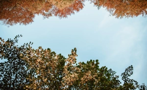 Jezioranka Ostrzyce Ośrodek szkoleniowo- wypoczynkowy / 3