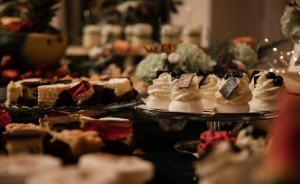 Dwór Rybieniec Pałace, dworki, zamki / 1