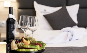 Hotel Jurajski Kryształ Hotel **** / 3