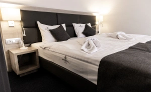 Hotel Jurajski Kryształ Hotel **** / 2