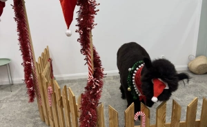 RESET - RES Edukacja s.c. Sala szkoleniowa / 2