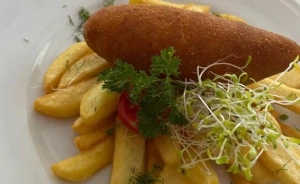 Hotel Trojak Hotel ** / 0