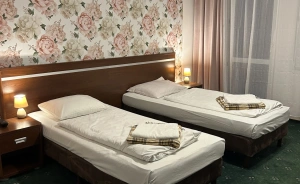 Hotel Trojak Hotel ** / 1