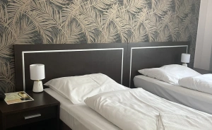 Hotel Trojak Hotel ** / 2