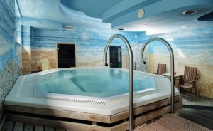 Lila Medical SPA Hotel SPA / 2