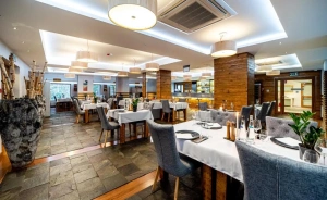 Hotel Żywiecki**** Medical Spa & Sport Hotel **** / 0