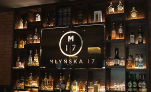 Hotel przy Młynie Hotel *** / 0