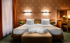 Hotel Victor Pruszków DeSilva Hotel *** / 3