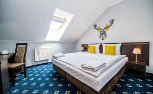 Karpacki & SPA Hotel *** / 0