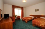 Hotel *** Hotel & Restauracja Salamandra / 8