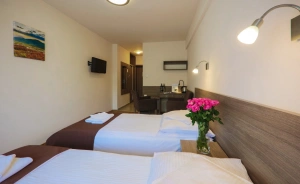 Hotel*** NAT Piwniczna Zdrój Hotel *** / 3